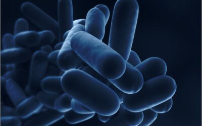 Am I Legionella Compliant?