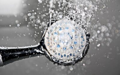 Researchers warn Deadly Legionnaires bug is lurking in 1.5million British homes – and showers could be to blame